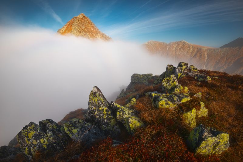 Shy queenphoto preview