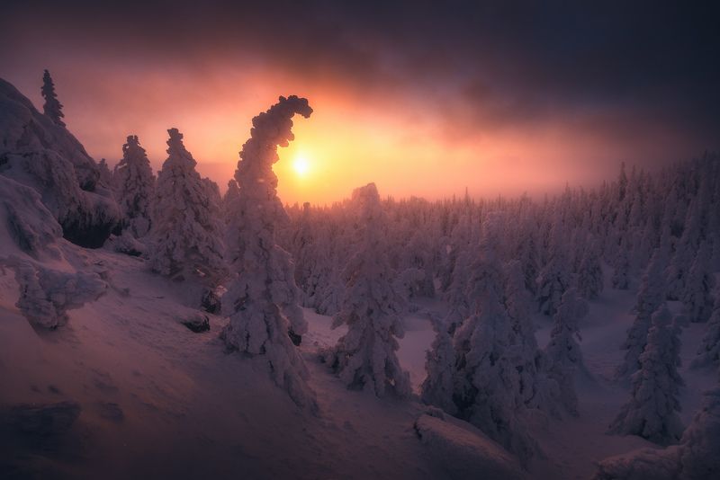 Рассвет в национальном парке Таганайphoto preview