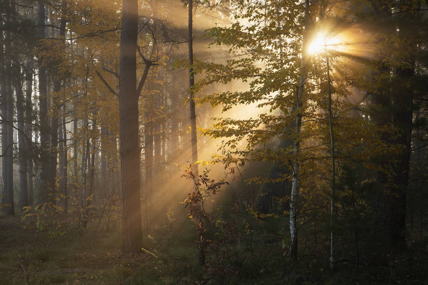 , Захаров Дмитрий