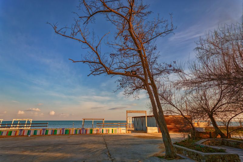 Пришла весна, коты прилетелиphoto preview