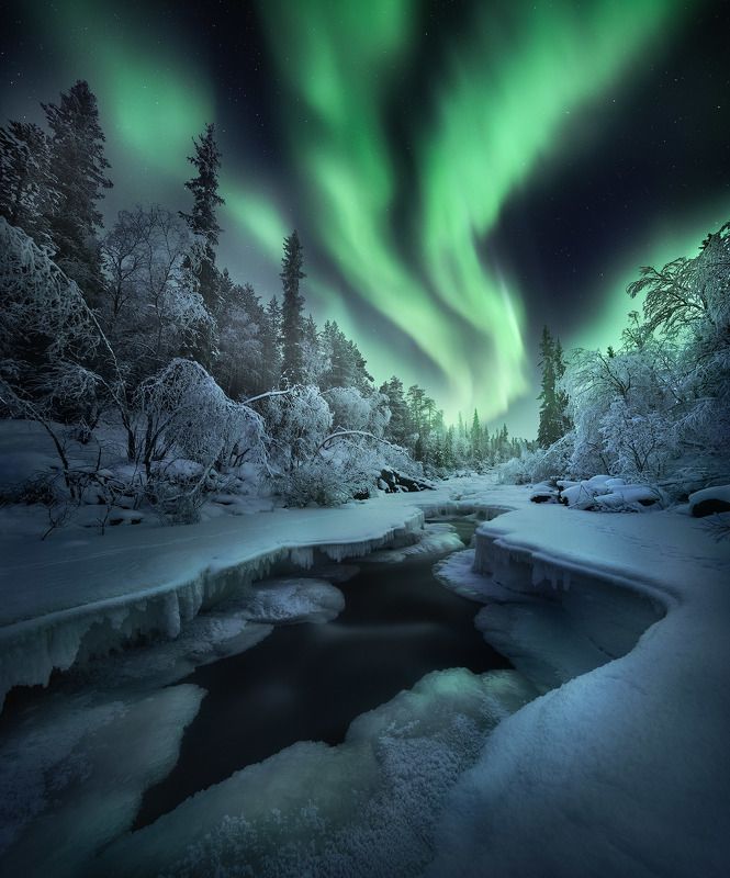 кольский, север, северное сияние В лучах зелёного счастьяphoto preview
