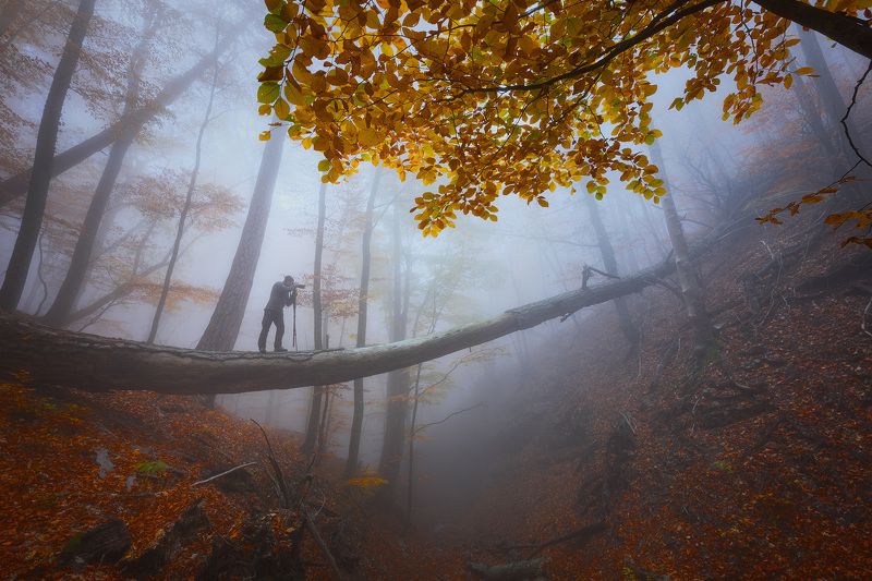 Где-то в Крымуphoto preview