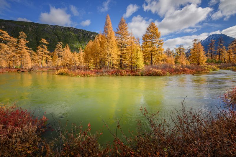 озеро джека лондона Полноводный Неведомый...photo preview