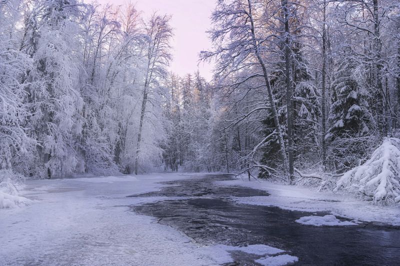 зима, мороз, пейзаж, река, зимняя река, ленинградская область, линдуловская роща, заповедник, река рощинка Морозный деньphoto preview