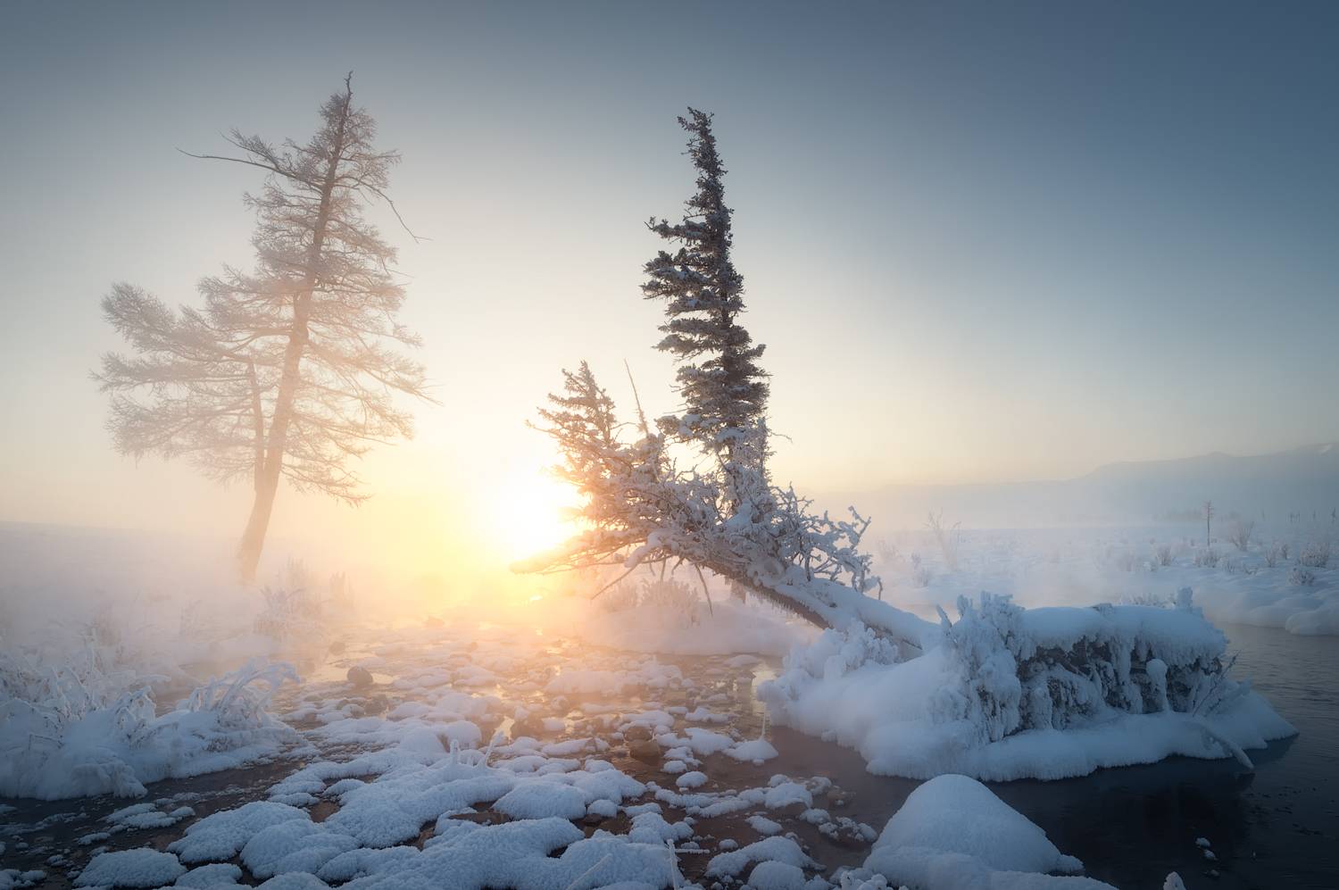 , Рубан Елена