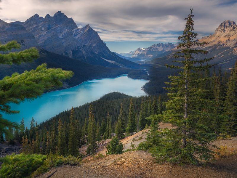 Canada, Banff, Peyto, landscapes, photography  The Lakephoto preview