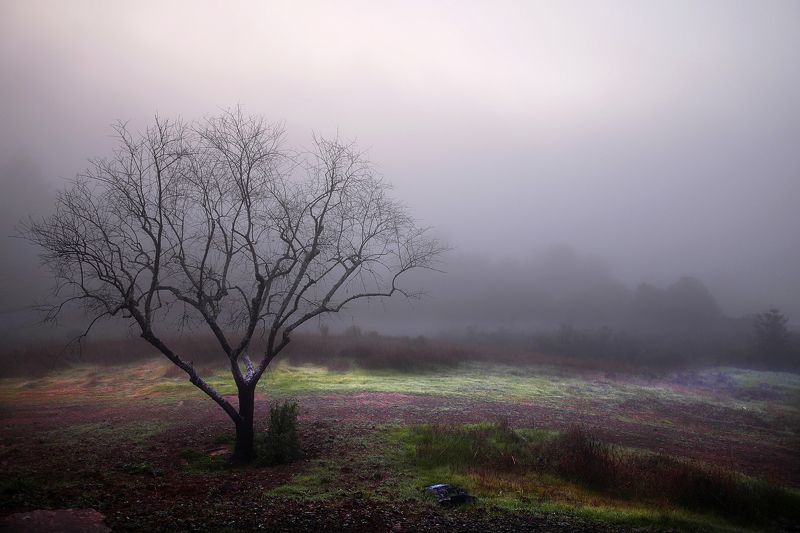 perspective Ожиданиеphoto preview