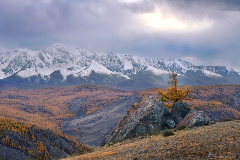 Осенний Алтайphoto preview