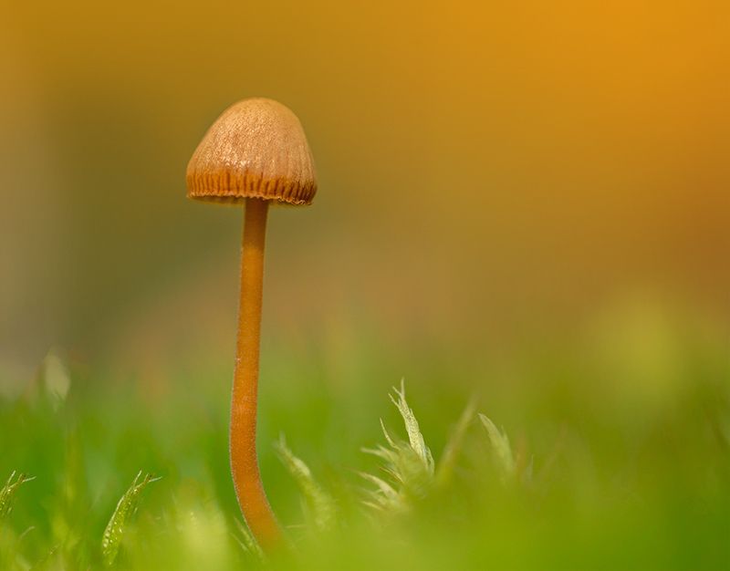 Минимализм.photo preview