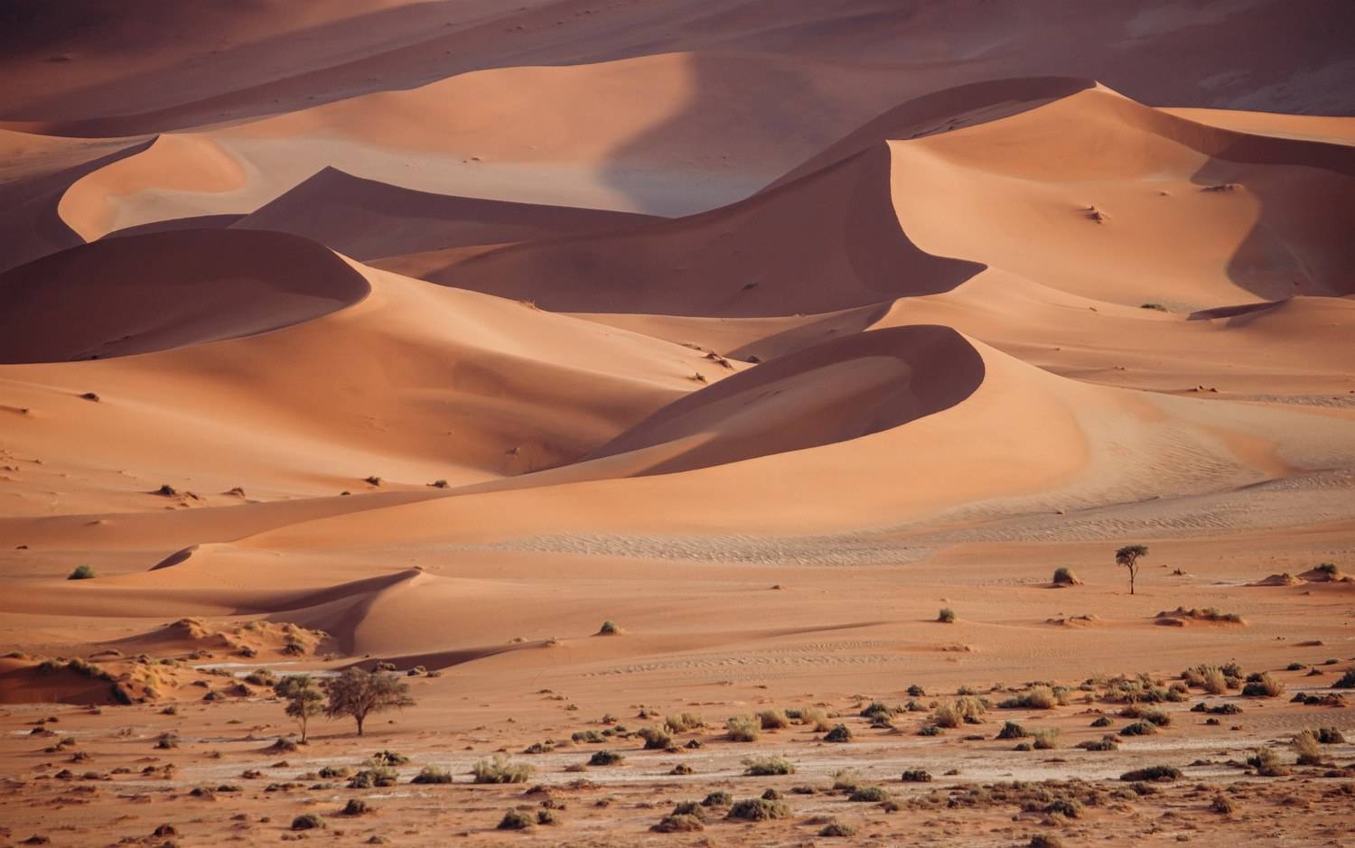 намибия, Алексей Мараховец