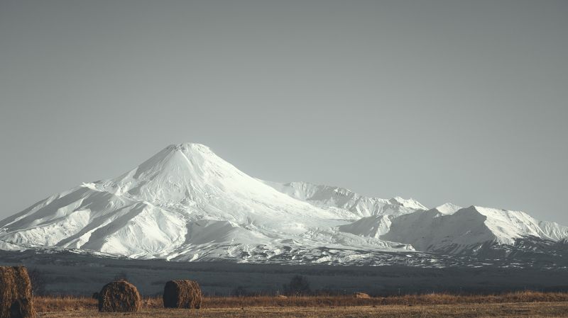 Золотой часphoto preview