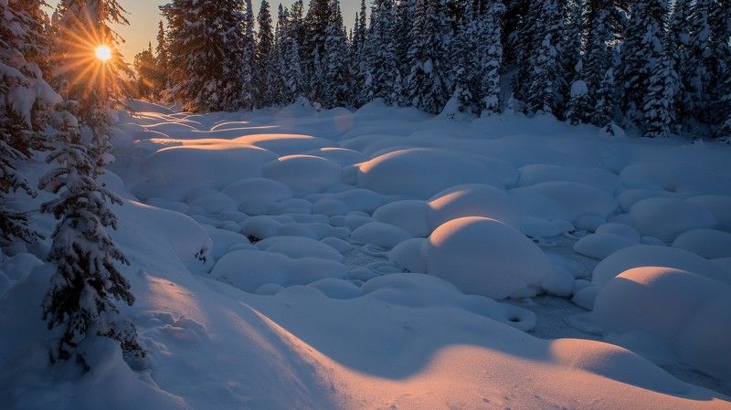 ергаки, озеро, ручей, светлое, светлый, птица, звездный, камни, шары, валуны, снег, скалы, зима, кедры Веченяя гостьяphoto preview