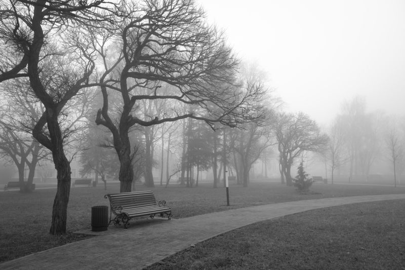 туман, лавочка, тишина, одиночество, спокойствие Одиночество или спокойствие?photo preview