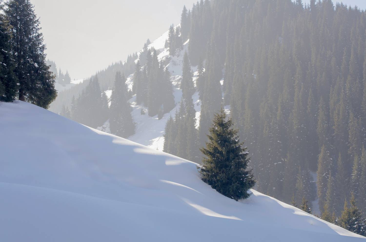 , Евгений Зинов