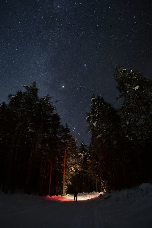 Ночь, горы, звезды, млечный путь, ночной пейзаж, астрофотография, кавказ, Приэльбрусье, лес, зима, снег В ночном лесуphoto preview