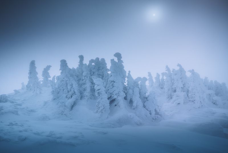 Январское утро в горахphoto preview