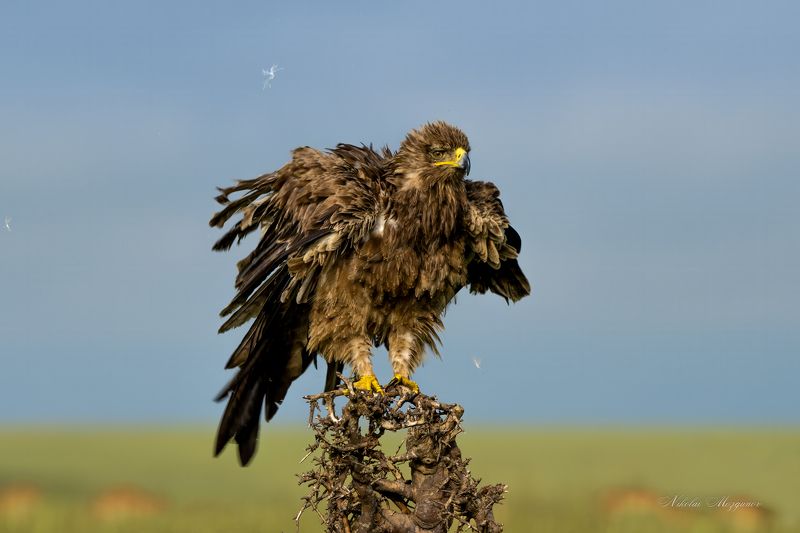 Тяжелый деньphoto preview