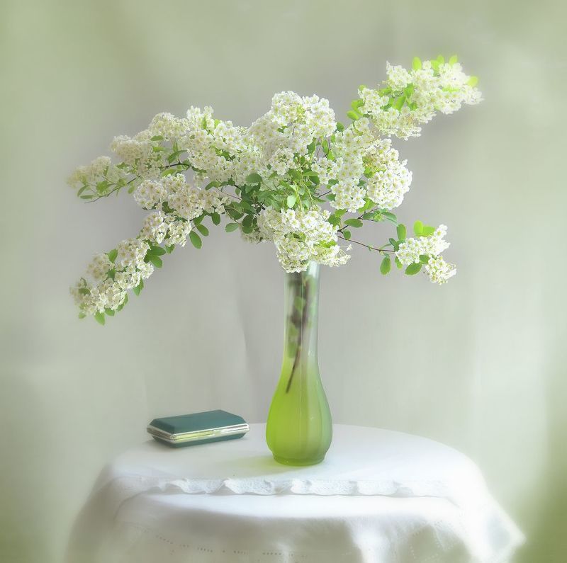 натюрморт,композиция,свет,лето,букет ***photo preview