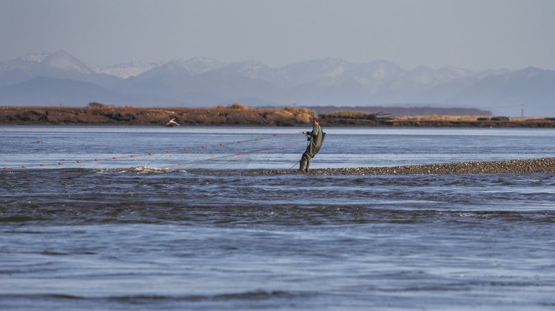 рыбалка, камчатка, невод, сеть, река, лосось Рыбак. Соболевский районphoto preview