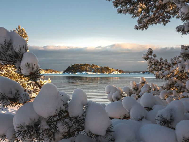 Зимний островphoto preview