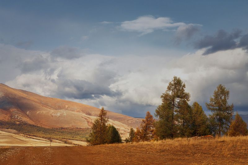 Горный Алтайphoto preview