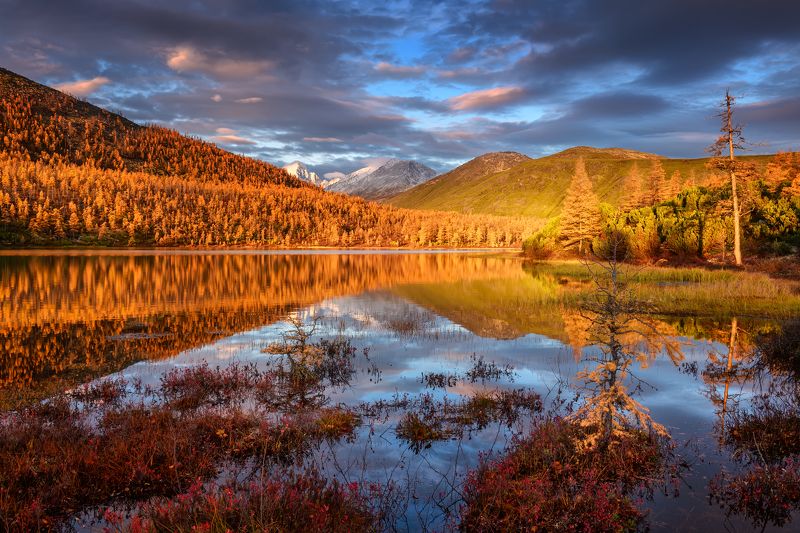 Утро Надежды :)photo preview