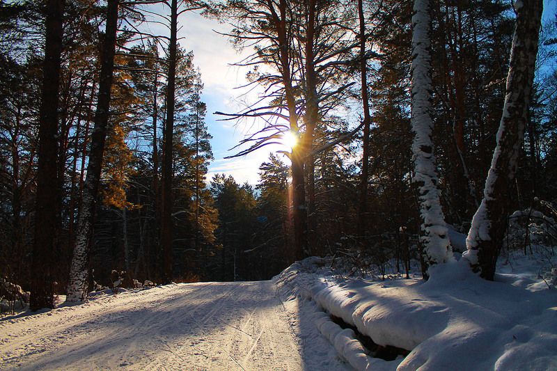 зима, сибирь, россия, январь  фото превью