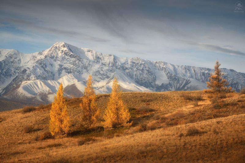 алтай, фототур по алтаю, осень, горы, горный алтай, республика алтай, курай Рыжая осеньphoto preview
