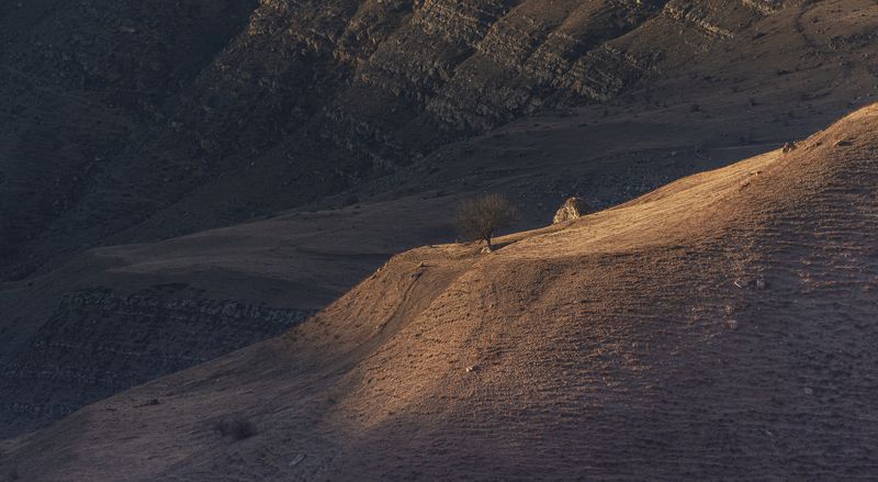 Остров светаphoto preview