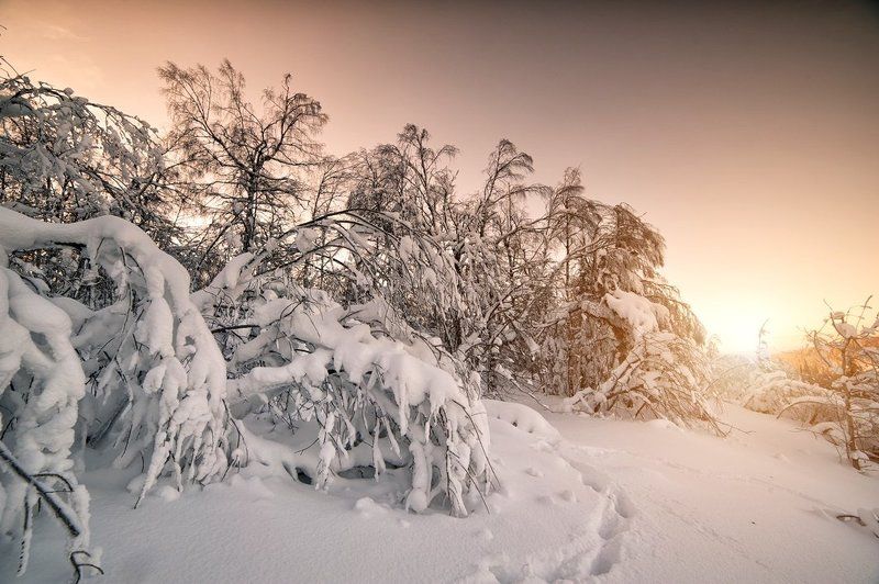 Башкирия, Белорецкий район, Деревья, Зима, Рассвет, Снег, Солнце, Утро *** фото превью