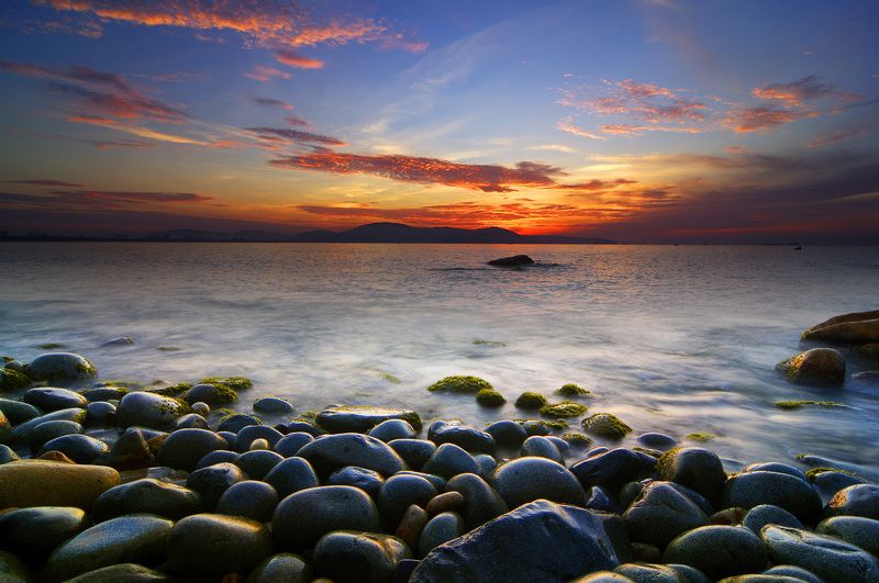 Frank Dang, Vietnam