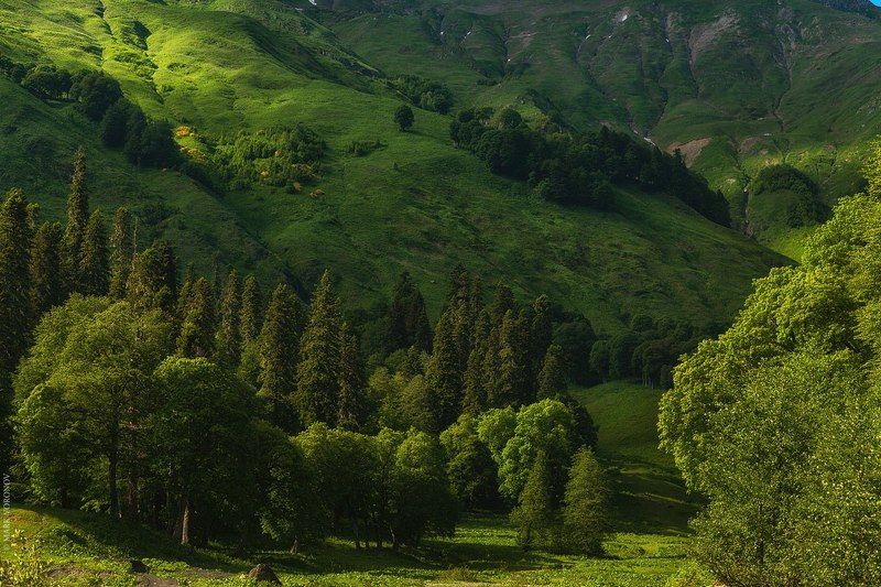 Альпийские луга Абхазия горы свет Альпийские лугаphoto preview