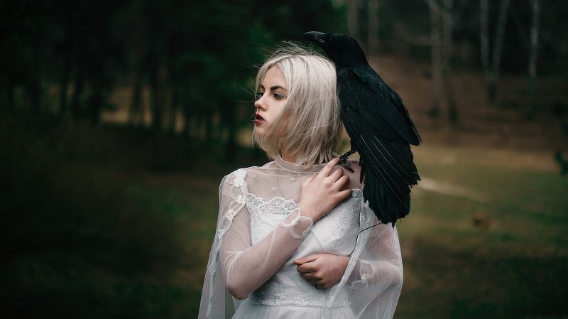 девушка, ворон, портрет, лес, невеста, арт, фотограф, екатерина троян, okeyteam, kate_troyan Crows bridephoto preview