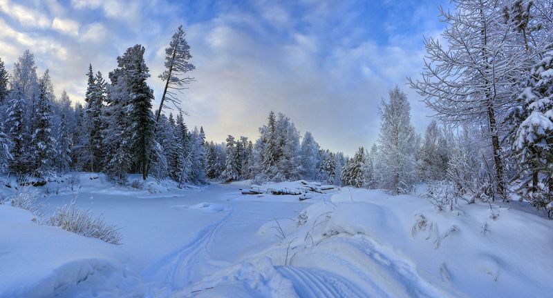 Зима, Снег, Югра Снегоходный путьphoto preview