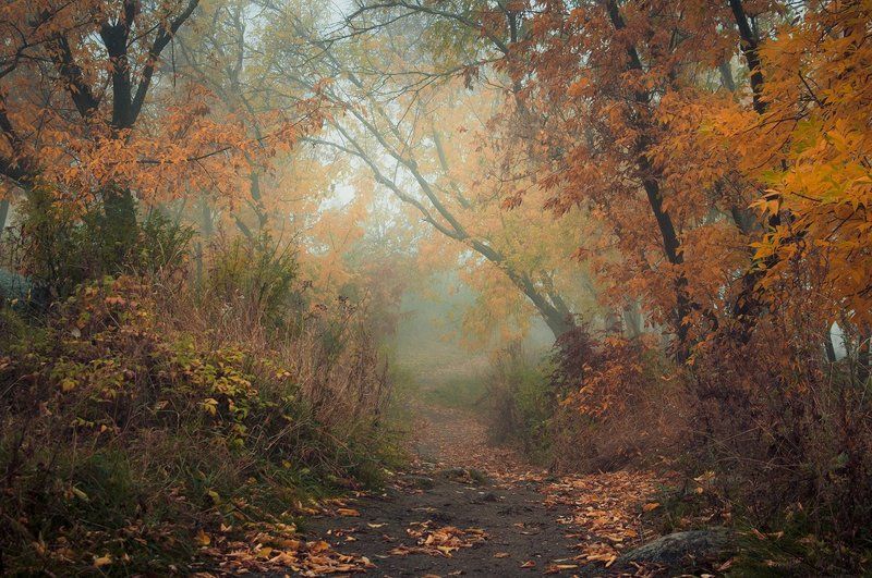 Дыхание осениphoto preview