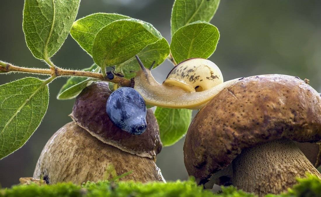 , Анатольевич