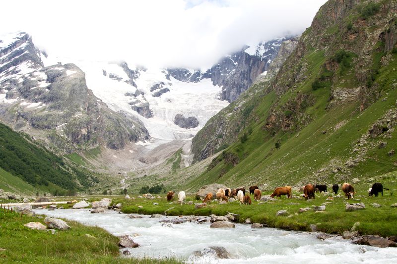 Пастбище с видом на горыphoto preview