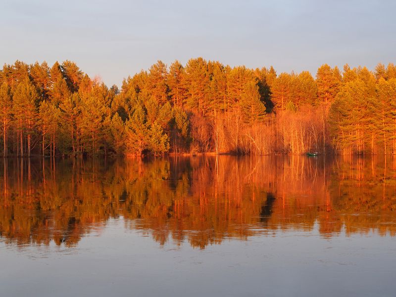 Веснаphoto preview