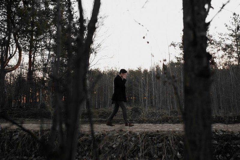 Silent springphoto preview