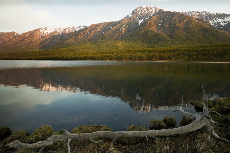 Aleksndr Boing, Russia