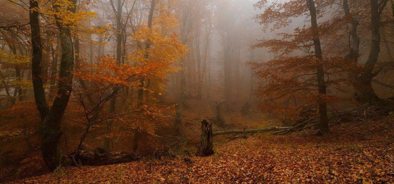 , Олег Логунов