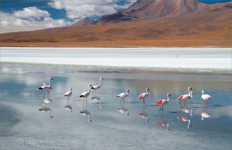 В Тихом местеphoto preview