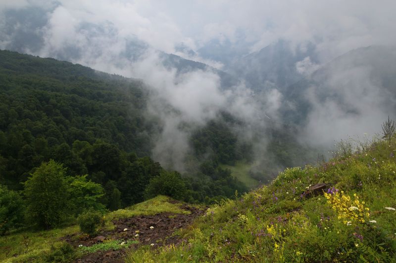 Кавказ.photo preview