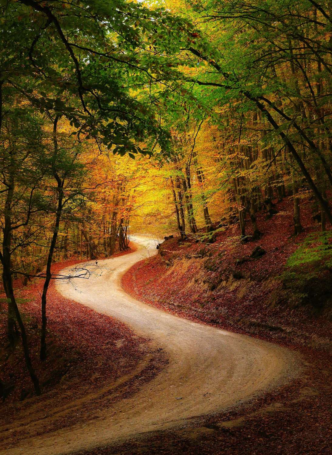 Дальними тропами. Автор: Пермяков Михаил крым, Пермяков Михаил