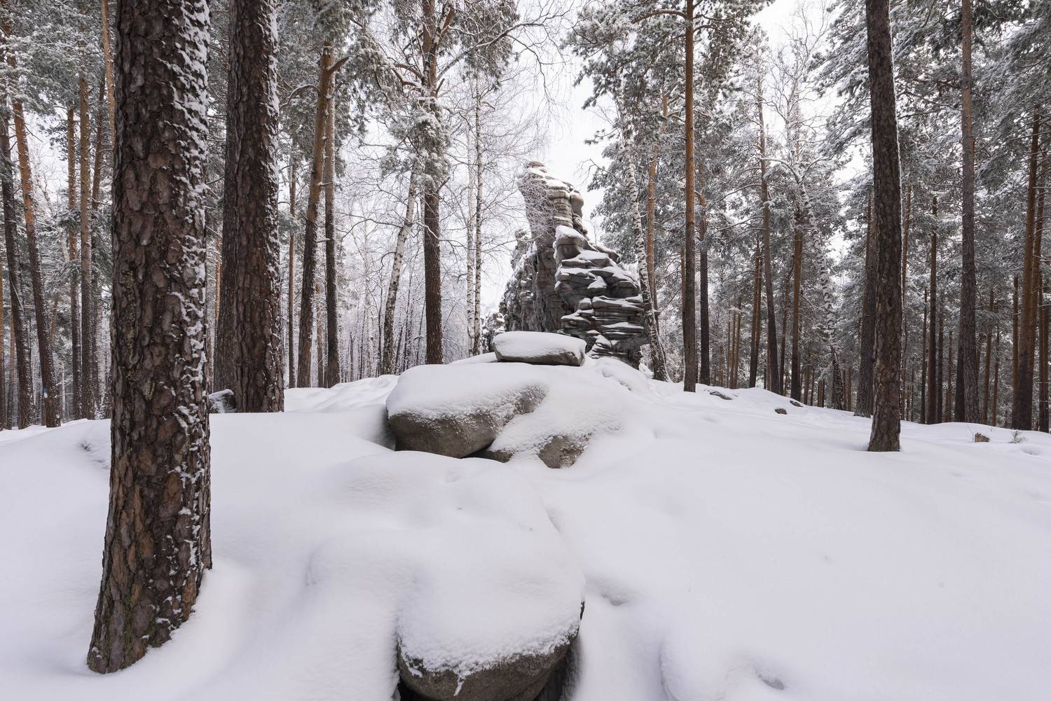 , Ватрушкин Максим