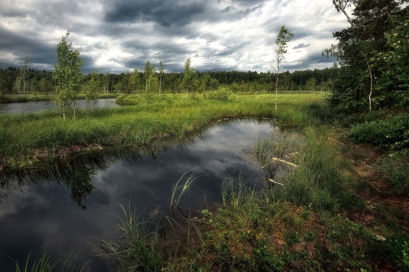 Болотоphoto preview