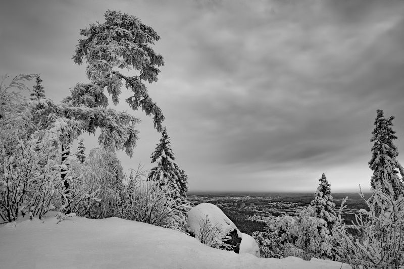 Зимний деньphoto preview