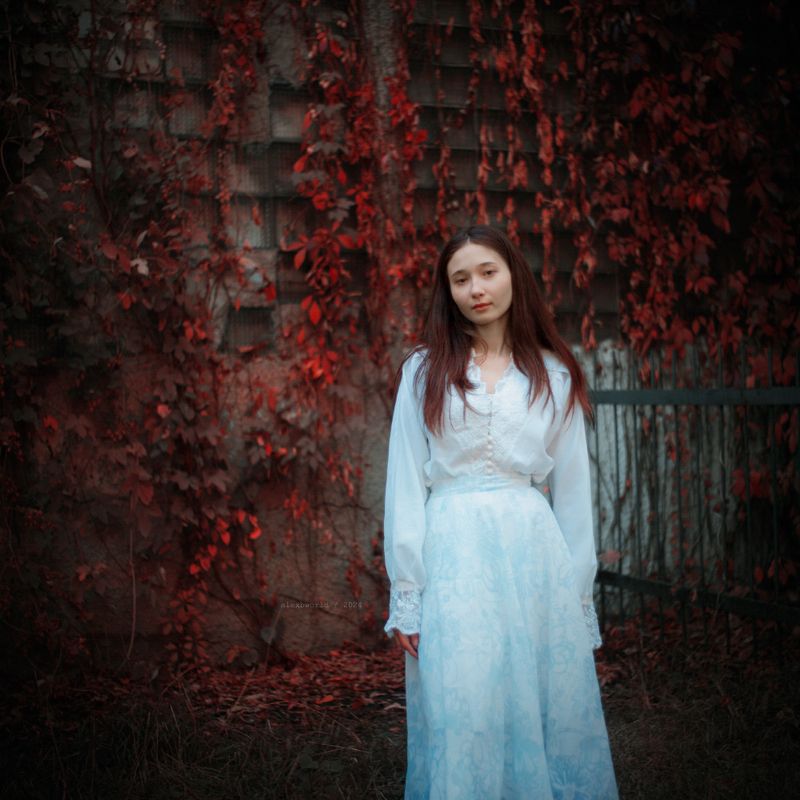 Untitledphoto preview