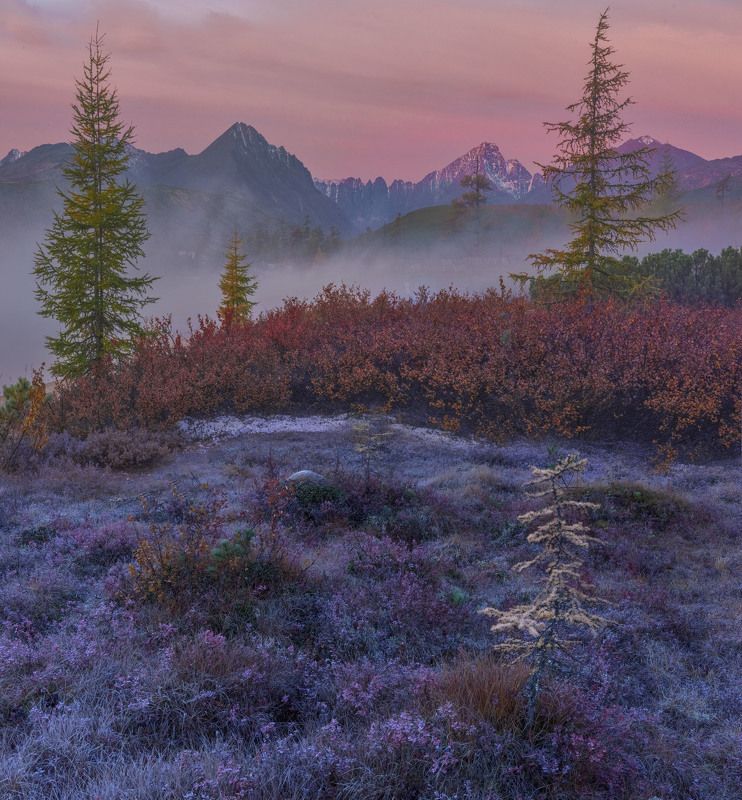 Фототуры с Владимиром Рябковым, #topnature #russpasibo #magic_shots #lovelyRussia #sunset_vision #exclusive_sky  #exclusive_shots #loves_russia2 #photoarena_nature #nature_sultans #nature_perfection #rsa_sky #rsa_sunset #photorussia #rsa_naturepics #sunse На Косе Биологов фото превью