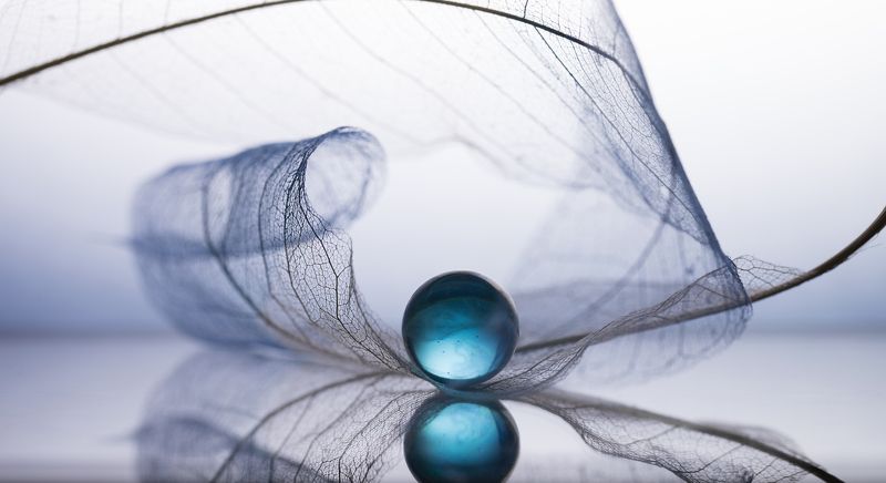 макро, macro МакроЭстетикаphoto preview